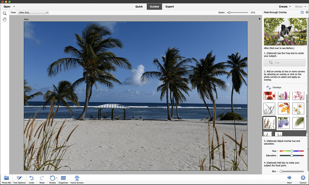Download Adobe Photoshop Elements 2023 Full Version
