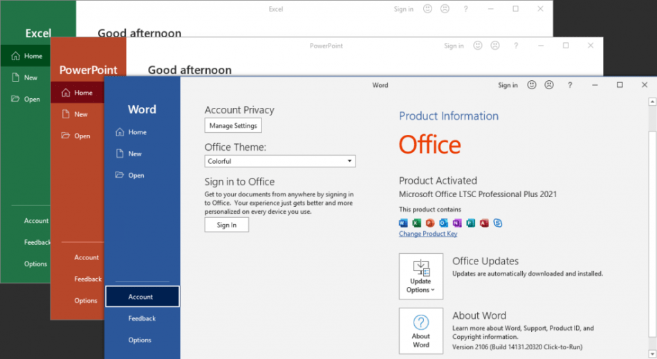 Microsoft Office LTSC Pro Plus 2021 [32/64-bit] - GG Drive