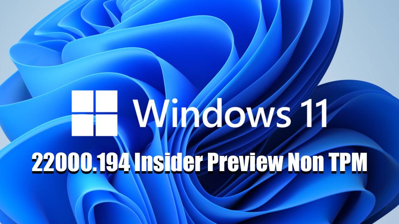 Windows 11 Pro Final Non TPM 2.0 Build 22000.282
